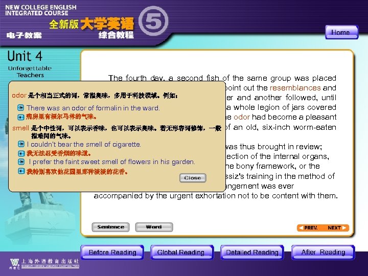 The fourth day, a second fish of the same group was placed beside the