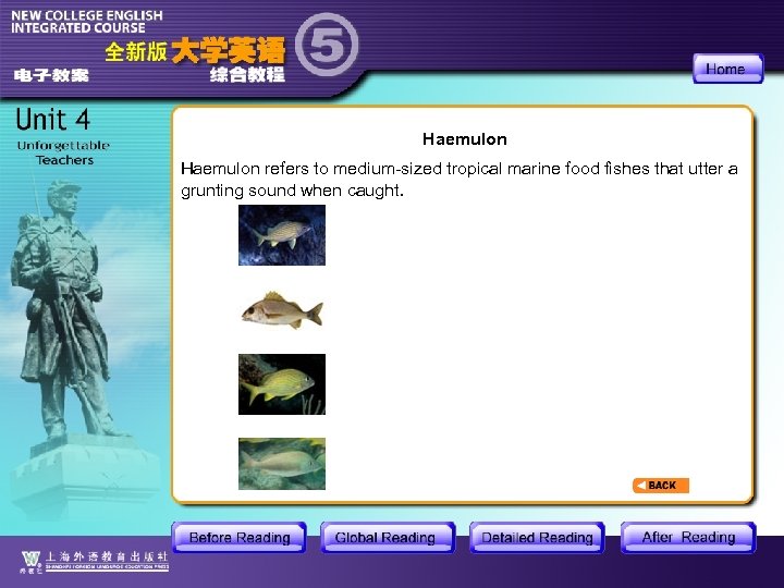Haemulon refers to medium-sized tropical marine food fishes that utter a grunting sound when