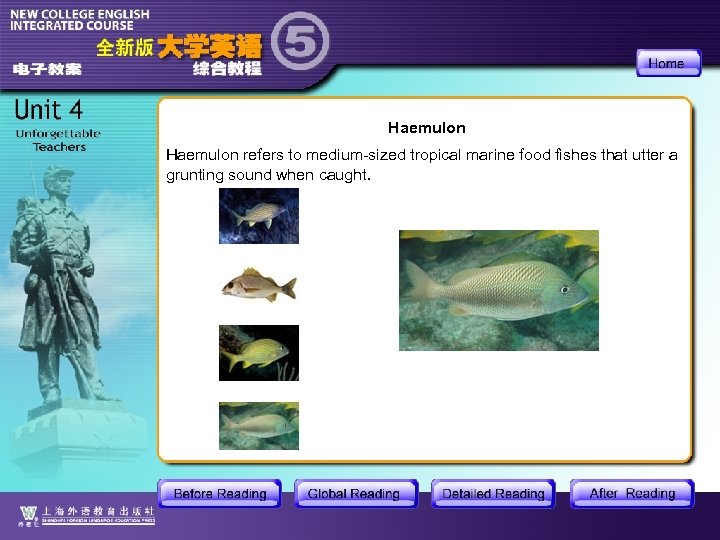 Haemulon refers to medium-sized tropical marine food fishes that utter a grunting sound when