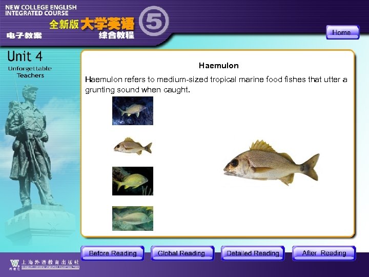 Haemulon refers to medium-sized tropical marine food fishes that utter a grunting sound when