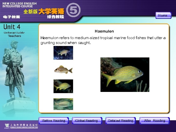 Haemulon refers to medium-sized tropical marine food fishes that utter a grunting sound when