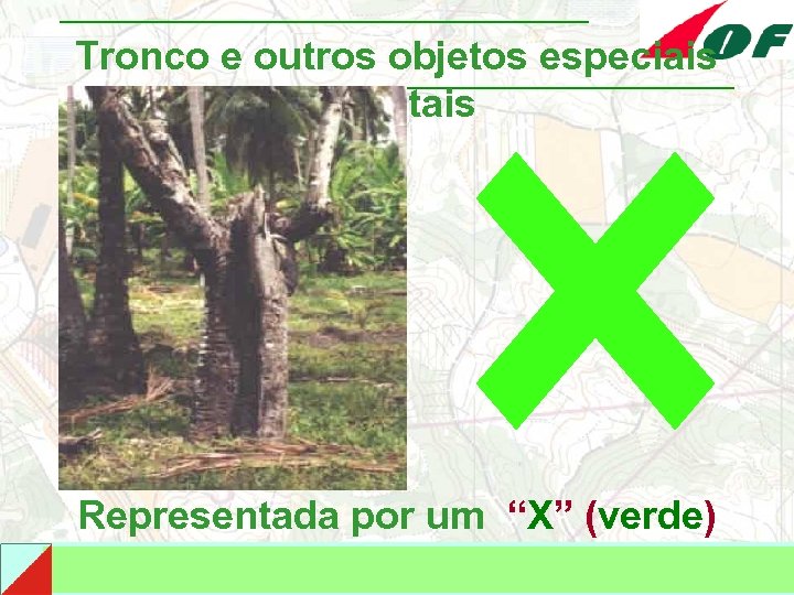 Tronco e outros objetos especiais vegetais Representada por um “X” (verde) 