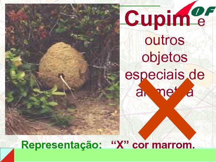 Cupim e outros objetos especiais de altimetria Representação: “X” cor marrom. 