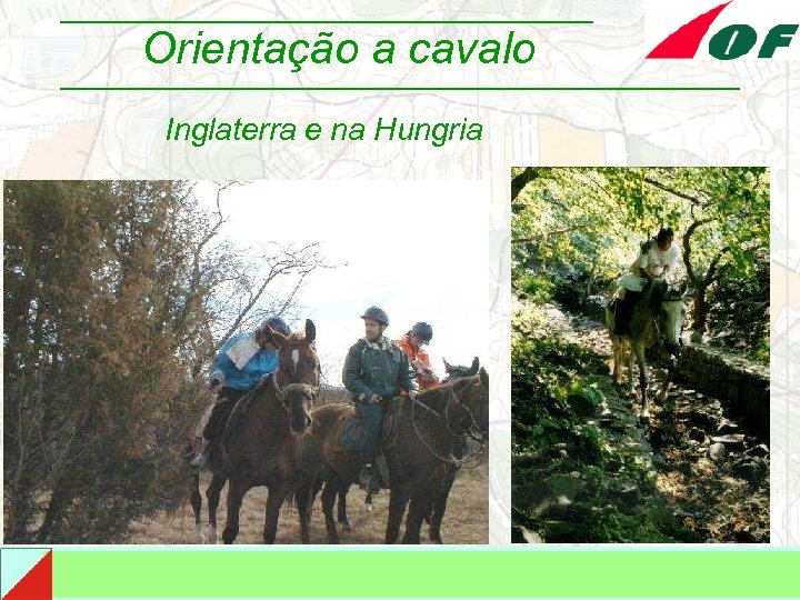 Orientação a cavalo Inglaterra e na Hungria 