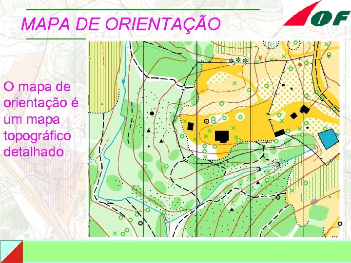 MAPA DE ORIENTAÇÃO O mapa de orientação é um mapa topográfico detalhado 