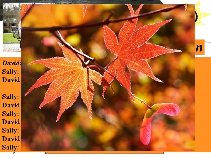 Where? When? How long? Why? a trip LOGO vacation David: Sally, where will you