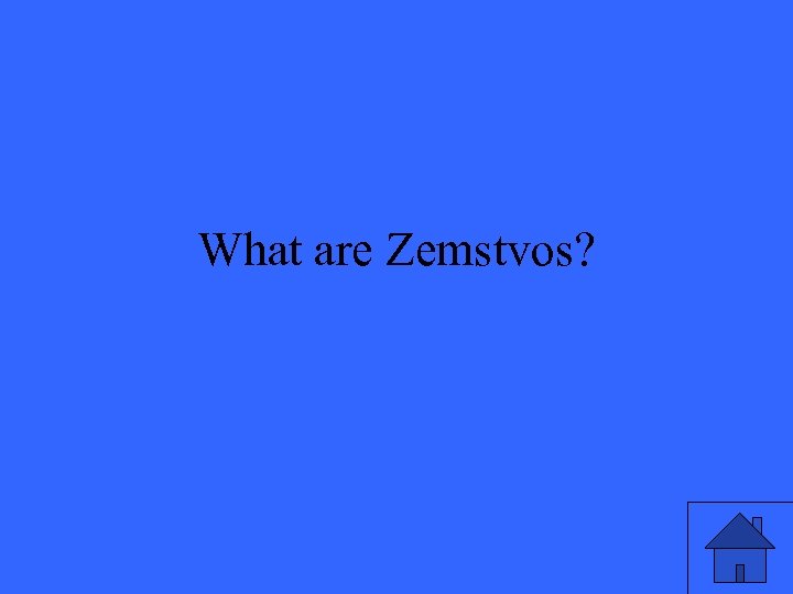 What are Zemstvos? 