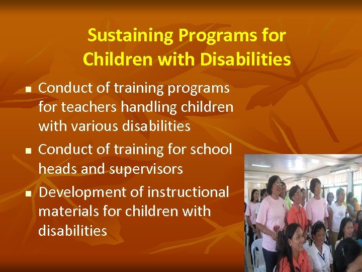 Sustaining Programs for Children with Disabilities n n n Conduct of training programs for