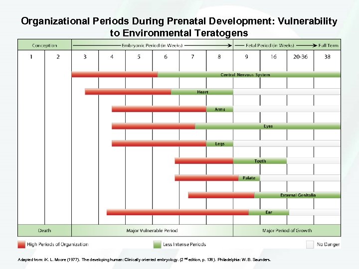 Organizational Periods During Prenatal Development: Vulnerability to Environmental Teratogens Adapted from: i. K. L.