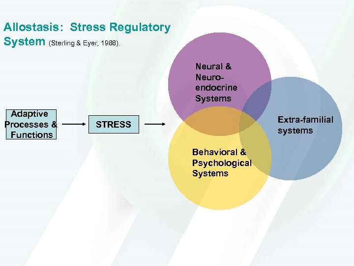 Allostasis: Stress Regulatory System (Sterling & Eyer, 1988). Neural & Neuroendocrine Systems Adaptive Processes
