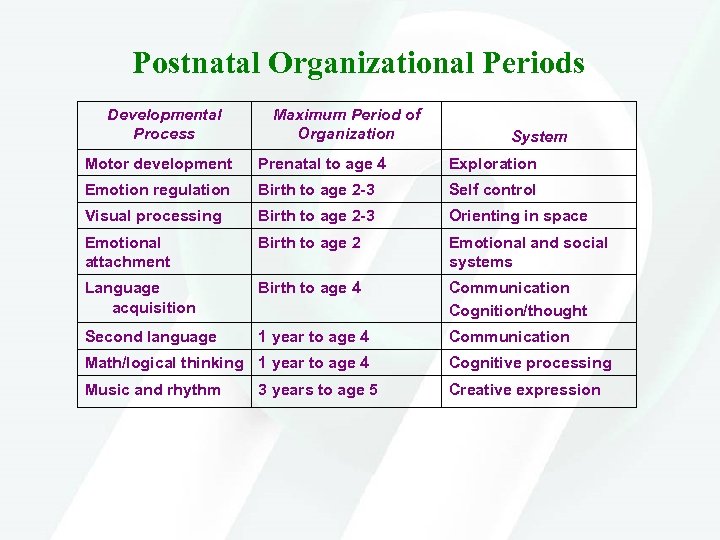 Postnatal Organizational Periods Developmental Process Maximum Period of Organization System Motor development Prenatal to