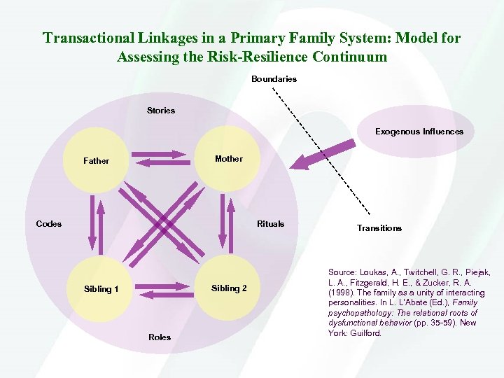 Transactional Linkages in a Primary Family System: Model for Assessing the Risk-Resilience Continuum Boundaries