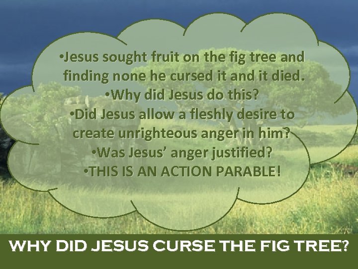 Why Did Jesus Curse The Fig Tree