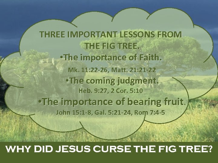 THREE IMPORTANT LESSONS FROM THE FIG TREE. • The importance of Faith. Mk. 11: