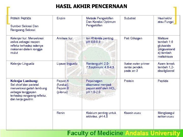 HASIL AKHIR PENCERNAAN Protein Peptida Enzim Metode Pengaktifan Dan Kondisi Optimum Pengaktifan Substrat Hasil