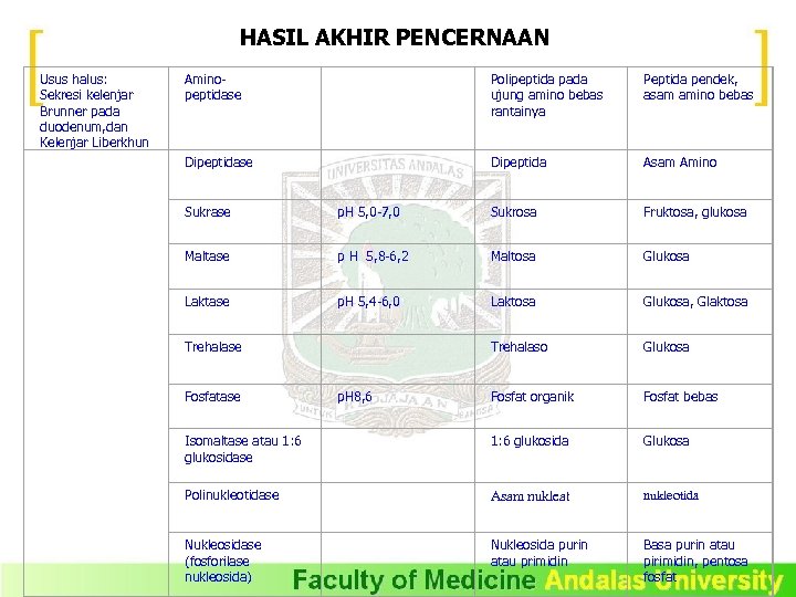 HASIL AKHIR PENCERNAAN Usus halus: Sekresi kelenjar Brunner pada duodenum, dan Kelenjar Liberkhun Aminopeptidase