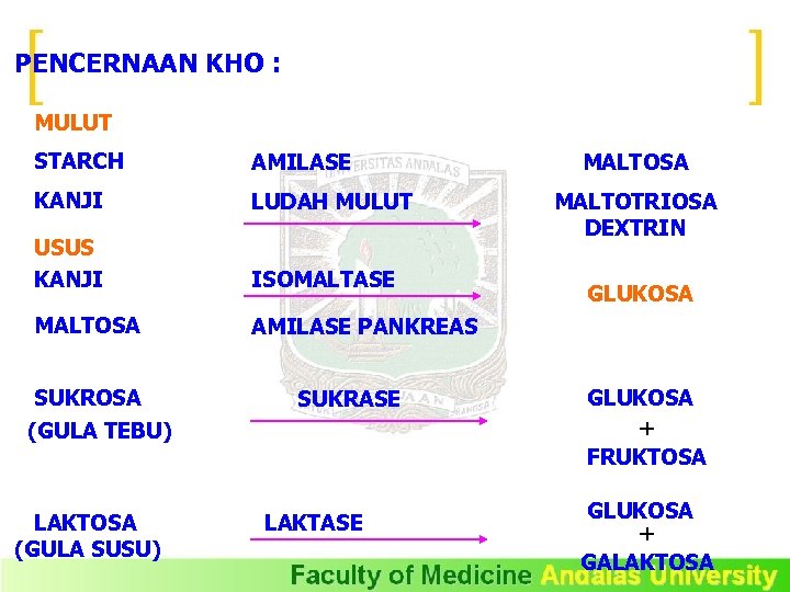 PENCERNAAN KHO : MULUT STARCH AMILASE KANJI LUDAH MULUT USUS KANJI ISOMALTASE MALTOSA AMILASE