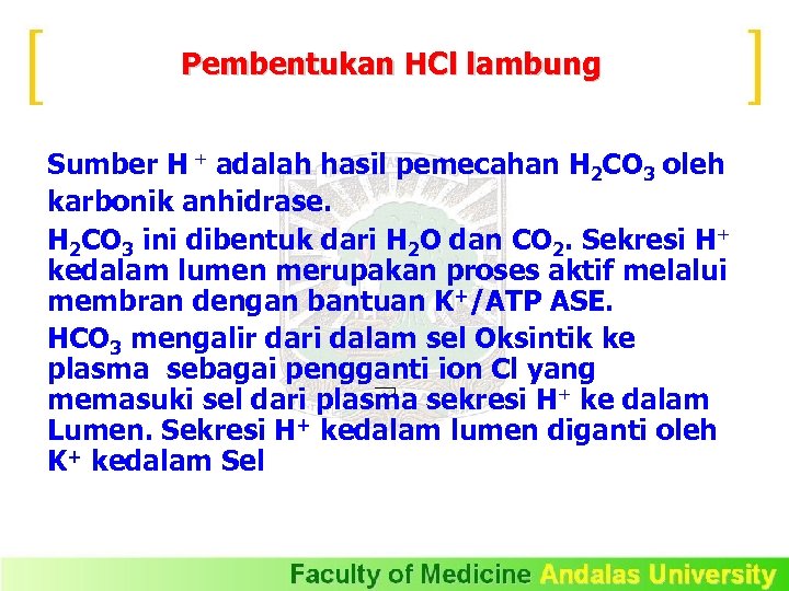 Pembentukan HCl lambung Sumber H + adalah hasil pemecahan H 2 CO 3 oleh