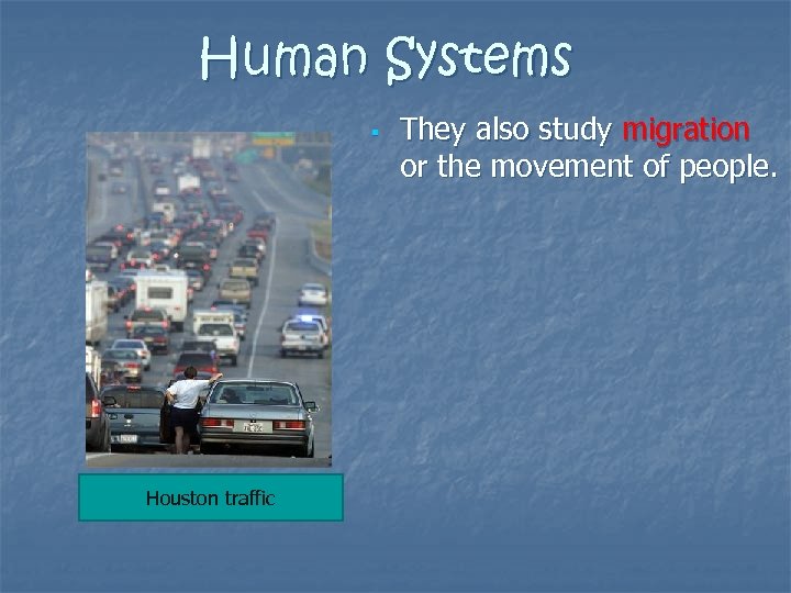 Human Systems Houston traffic They also study migration or the movement of people. 