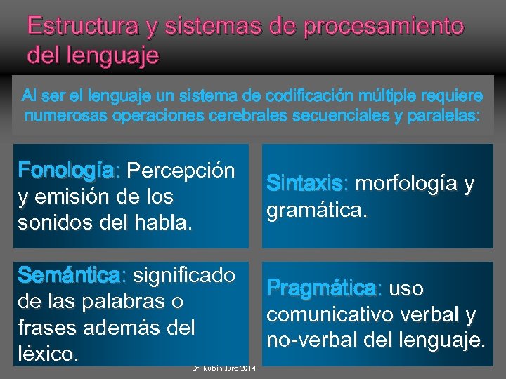 Estructura y sistemas de procesamiento del lenguaje Al ser el lenguaje un sistema de