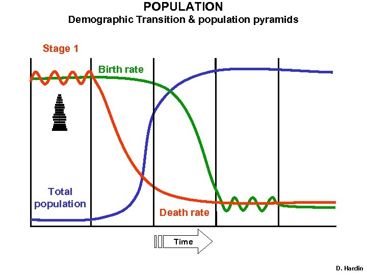 POPULATION Demographic Transition & population pyramids Stage 1 Birth rate Total population Death rate
