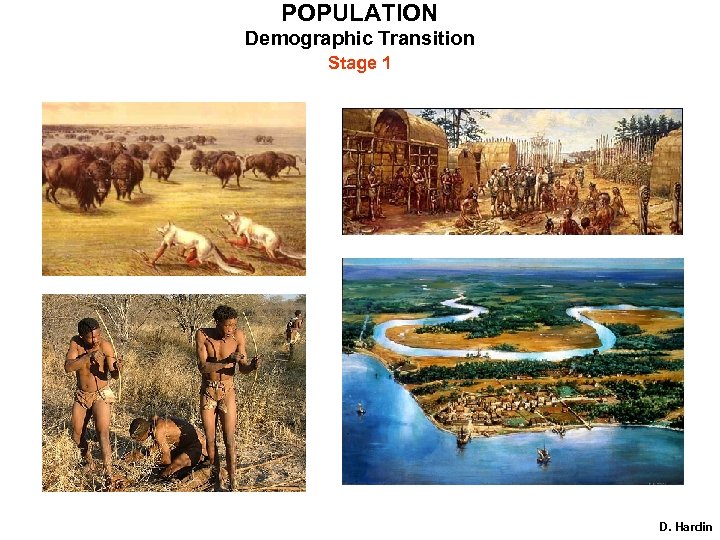 POPULATION Demographic Transition Stage 1 D. Hardin 