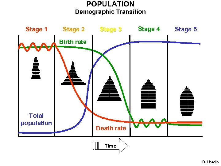 POPULATION Demographic Transition Stage 1 Stage 2 Stage 3 Stage 4 Stage 5 Birth