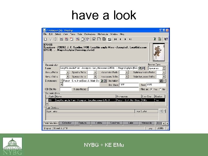 have a look NYBG + KE EMu 
