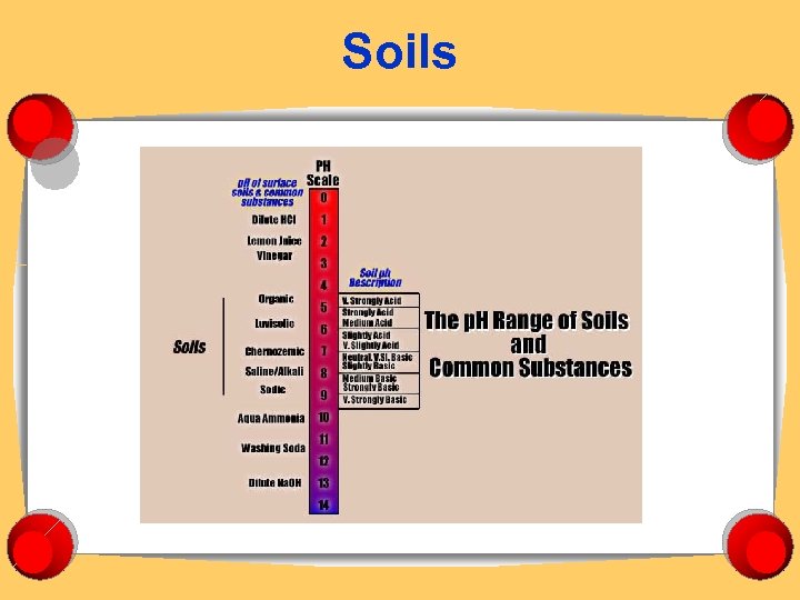 Soils 