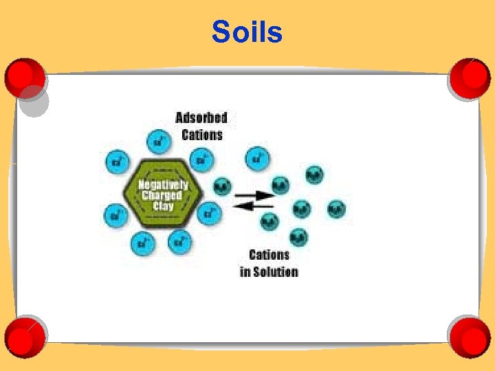 Soils 