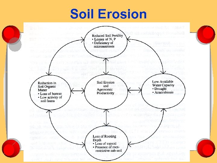 Soil Erosion 