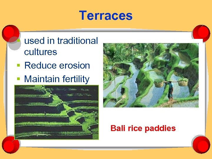Terraces § used in traditional cultures § Reduce erosion § Maintain fertility Bali rice