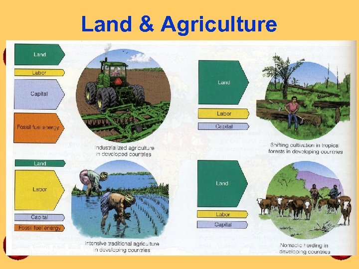 Land & Agriculture 