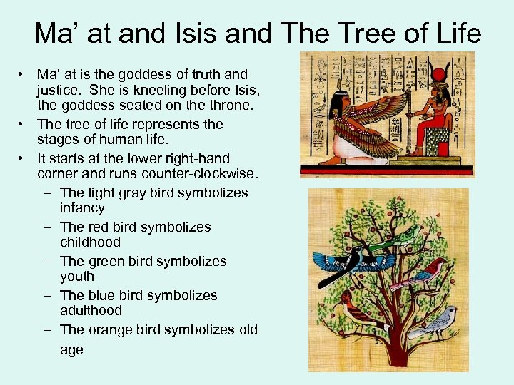 Ma’ at and Isis and The Tree of Life • Ma’ at is the