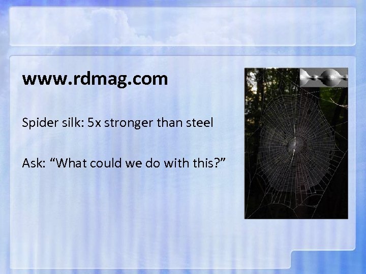 www. rdmag. com Spider silk: 5 x stronger than steel Ask: “What could we