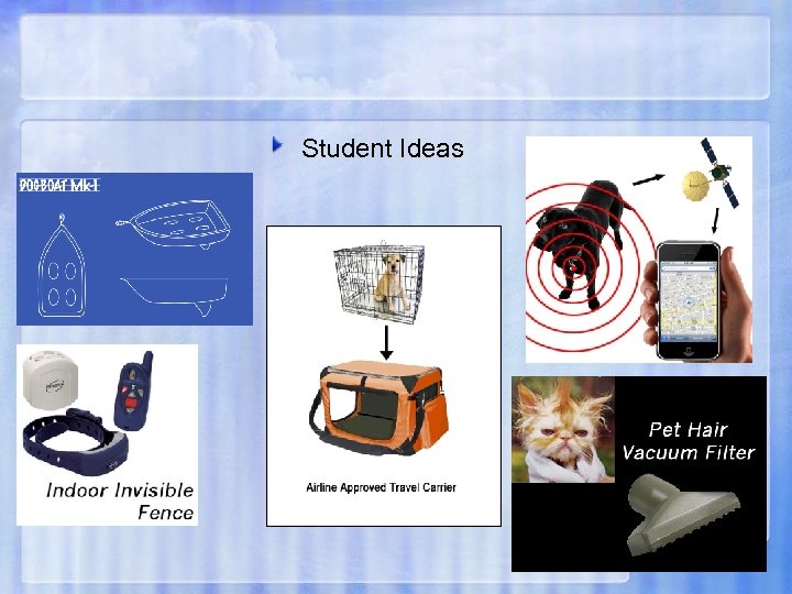Student Ideas 