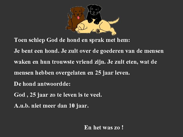 Toen schiep God de hond en sprak met hem: Je bent een hond. Je