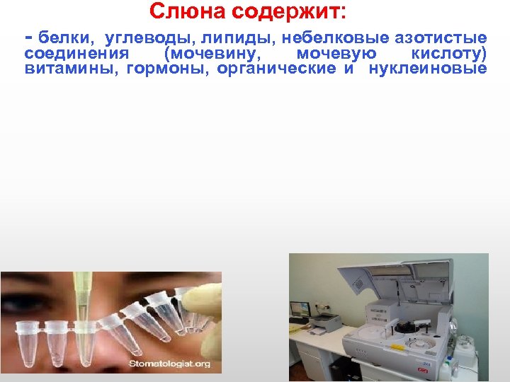 Слюна содержит: - белки, углеводы, липиды, небелковые азотистые соединения (мочевину, мочевую кислоту) витамины, гормоны,