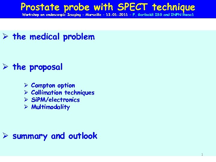 Prostate probe with SPECT technique Workshop on endoscospic Imaging – Marseille – 13 -01