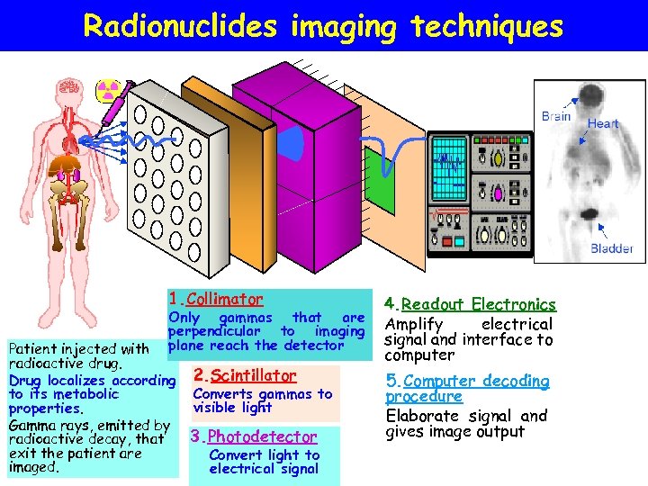 Radionuclides imaging techniques 1. Collimator Only gammas that are perpendicular to imaging plane reach