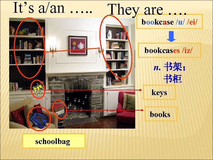 It’s a/an …. . They are …. bookcase /u/ /ei/ bookcases /iz/ n. 书架；