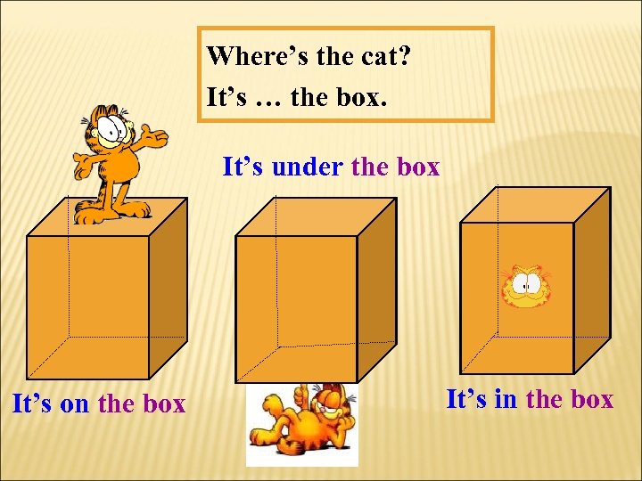 Where’s the cat? It’s … the box. It’s under the box It’s on the