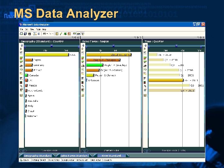 MS Data Analyzer 
