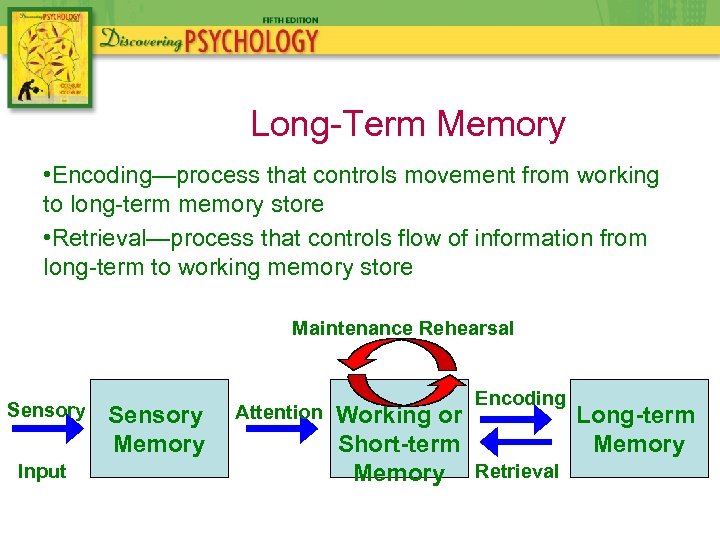 Long-Term Memory • Encoding—process that controls movement from working to long-term memory store •