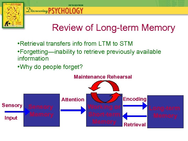 Review of Long-term Memory • Retrieval transfers info from LTM to STM • Forgetting—inability