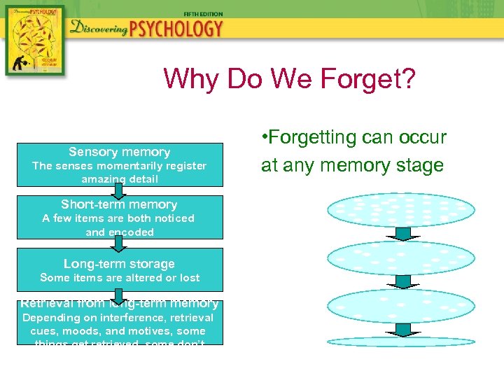 Why Do We Forget? Sensory memory The senses momentarily register amazing detail Short-term memory