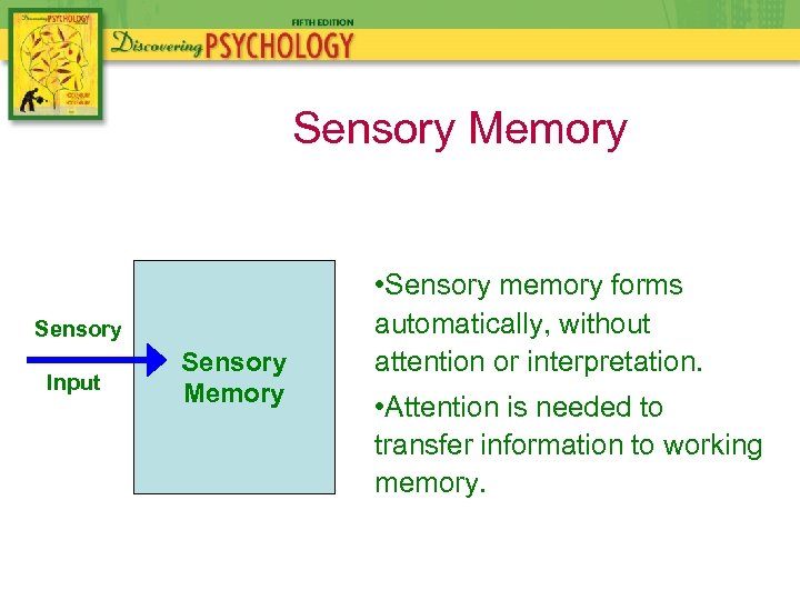 Sensory Memory Sensory Input Sensory Memory • Sensory memory forms automatically, without attention or