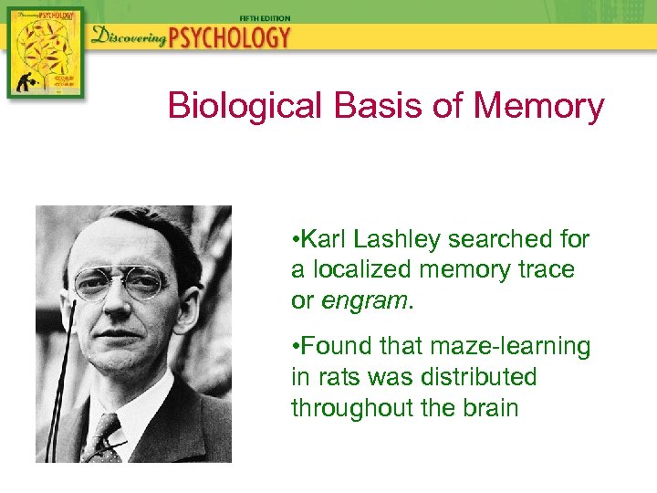 Biological Basis of Memory • Karl Lashley searched for a localized memory trace or