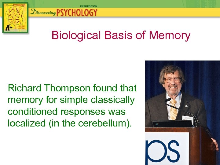 Biological Basis of Memory Richard Thompson found that memory for simple classically conditioned responses