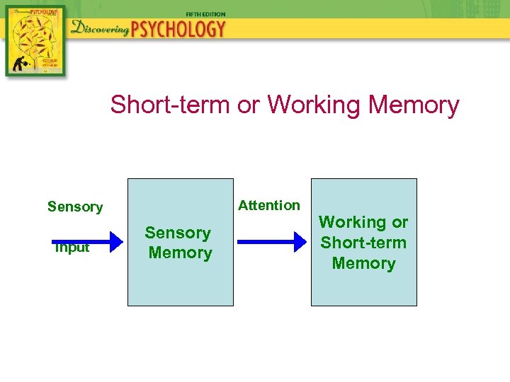 Short-term or Working Memory Attention Sensory Input Sensory Memory Working or Short-term Memory 